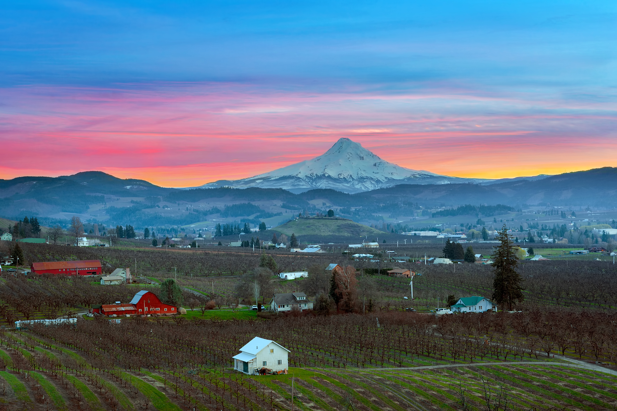 Mount Hood over Hood River Valley Orchard Farmland during Sunset Everglory Logistics
